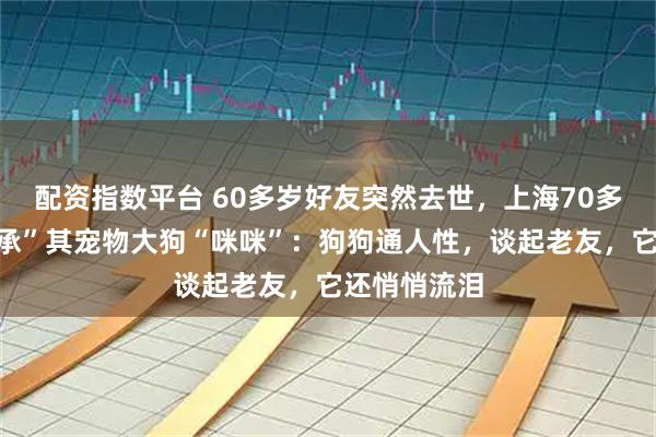 配资指数平台 60多岁好友突然去世，上海70多岁老伯“继承”其宠物大狗“咪咪”：狗狗通人性，谈起老友，它还悄悄流泪